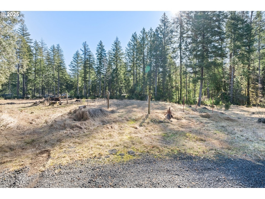 0 Alma Dr unit 155780752, McKenzie Bridge, OR 97413 - photo 1