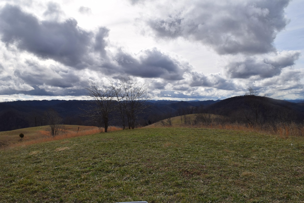 0 Big Springs Rd unit 19372195, Eidson, TN 37731 - photo 1