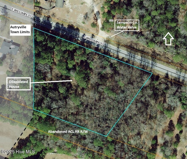 GIS Aerial View
