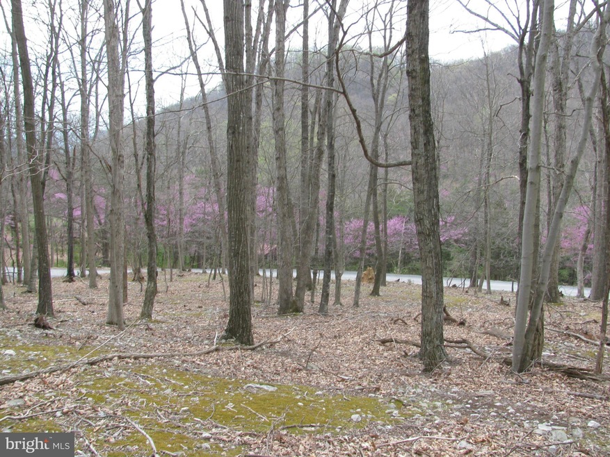 0 Settlers Valley Way unit 1000146727, Lost River, WV 26810 - photo 1