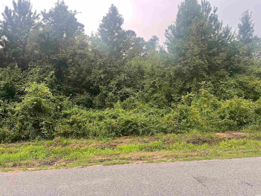 View of undeveloped land