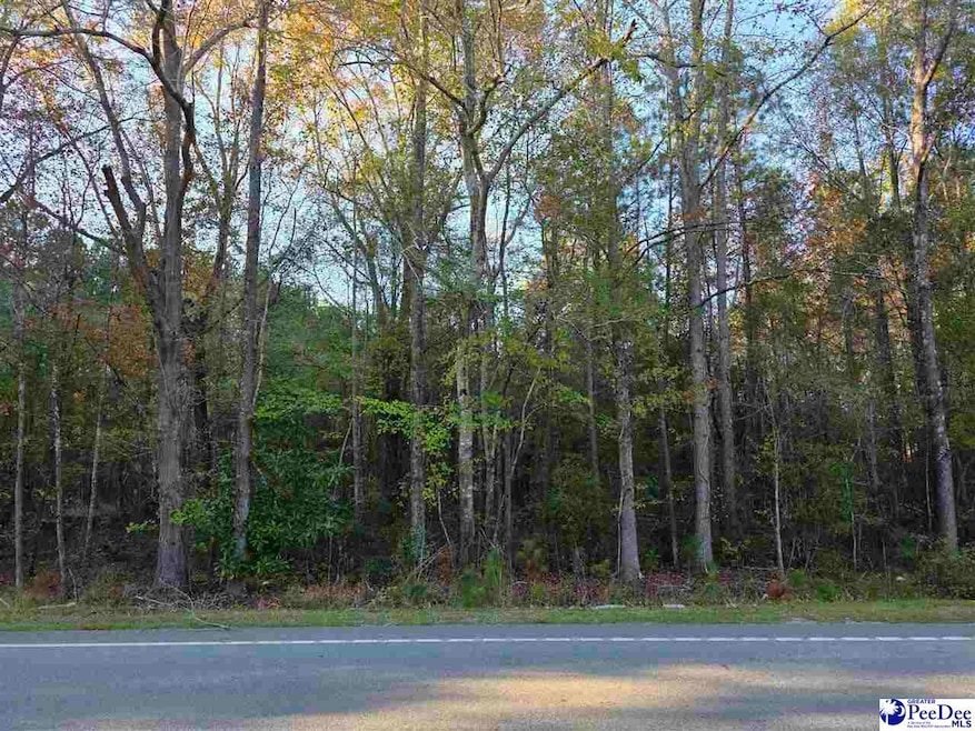 1317 Major Dr, Hartsville, SC 29550 - photo 1