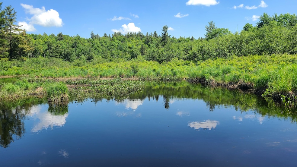 Bingo Drive Extension unit Pork Creek Edwards N, Talcville, NY 13635 - photo 1