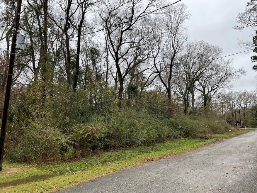 0 County Road 4322, Dayton, TX 77535 - photo 1