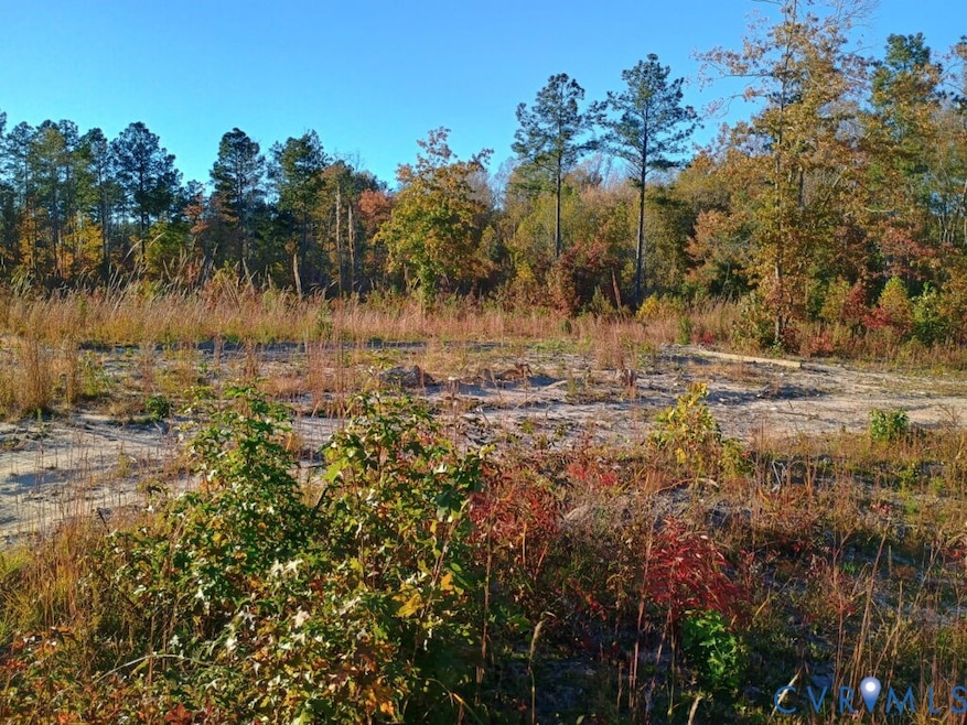 View of local wilderness