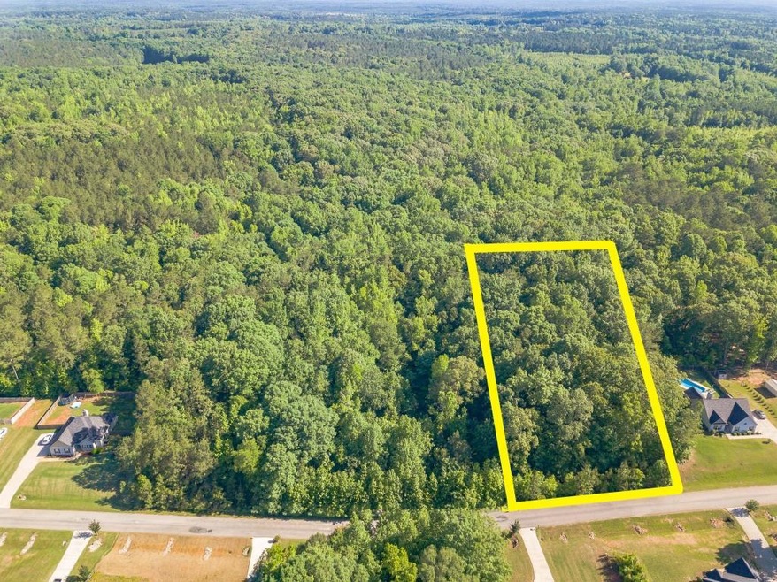 0 Hunter Welch Pkwy unit 7388738, Luthersville, GA 30251 - photo 1