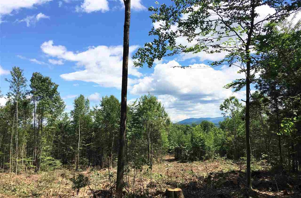 0 Heritage Hill Rd unit 13 & 14 4647539, Conway, NH 03813 - photo 1