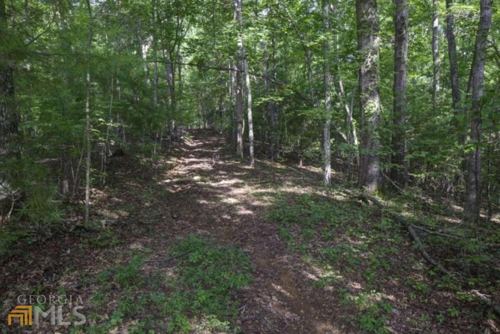 0 Sweet Apple Ln unit 10122302, Dahlonega, GA 30533 - photo 1