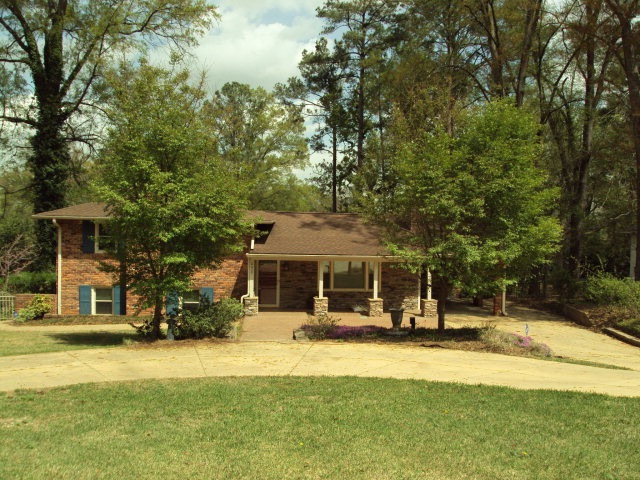 Main View