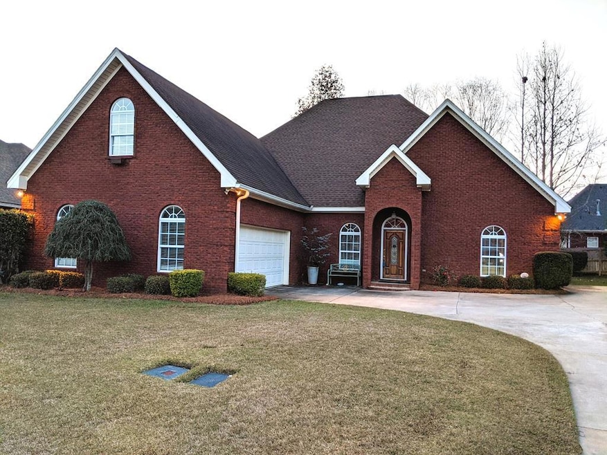 Main View