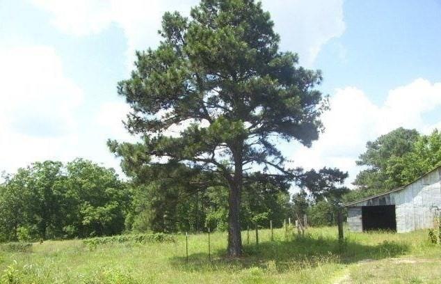 1304 Little Vine Rd, Temple, GA 30179 - photo 1