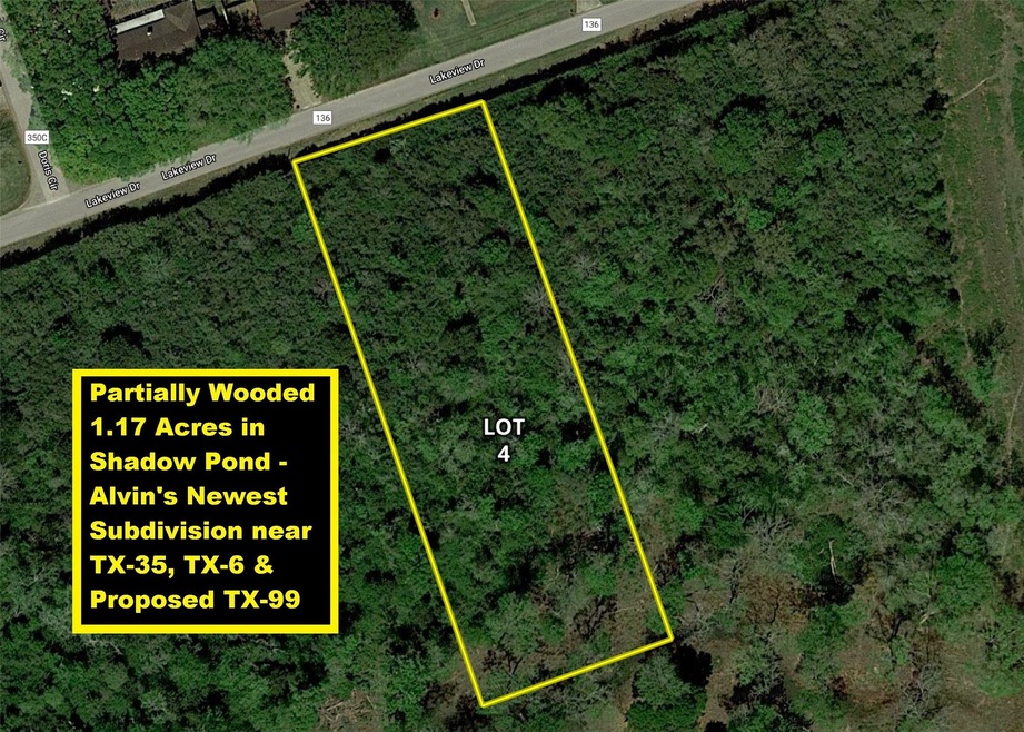 41 Lakeview Drive Lot 4, Alvin, TX 77511 - photo 1