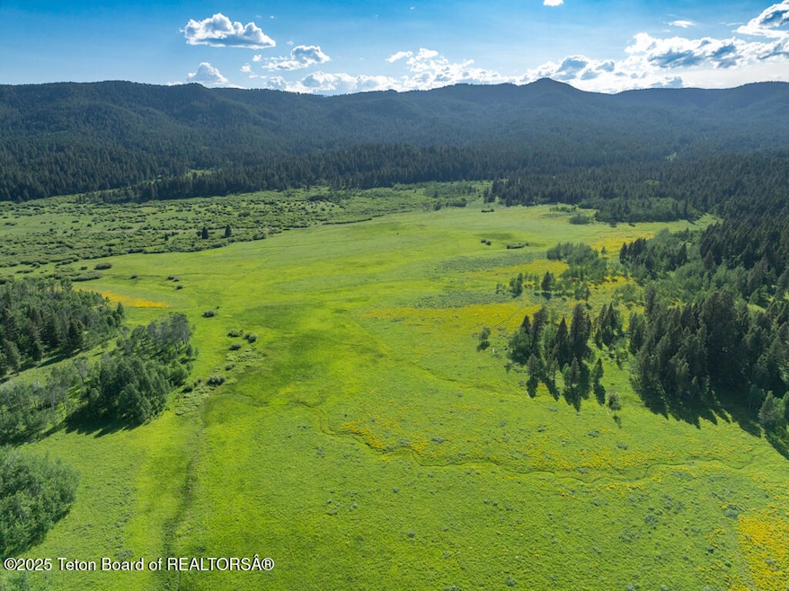Southern 116.9ac