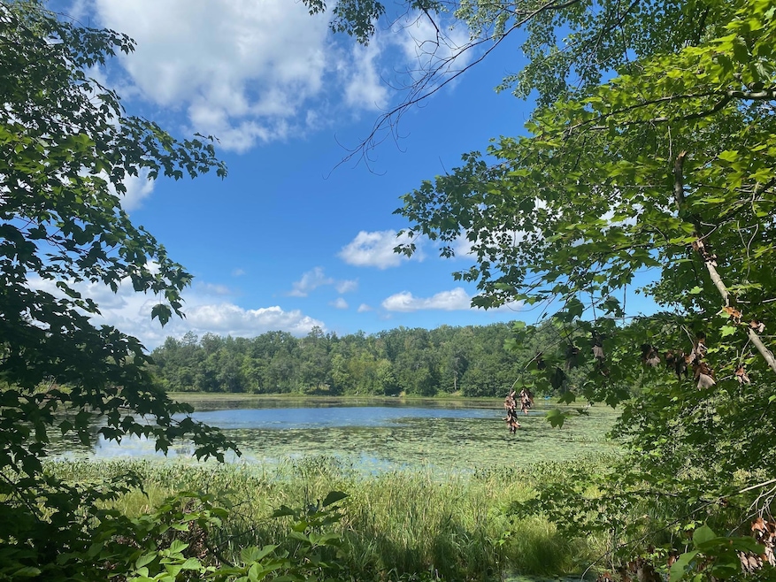 XXX Pot o Gold Rd, Oakland, WI 54830 - photo 1