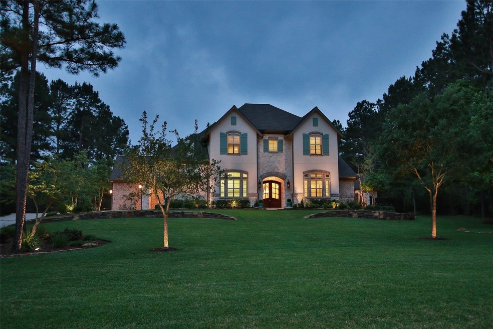 28732 Pleasant Forest, Magnolia, TX 77355 - photo 1