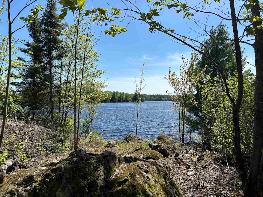 Unit 1 Fernberg Rd, Fall Lake Township, MN 55731 - photo 1