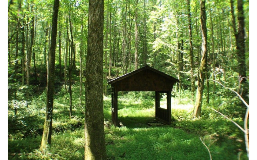 0 Sapulpa Ct L596 597, Ellijay, GA 30540 - photo 1