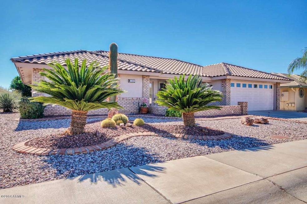 Professional Desert Landscape