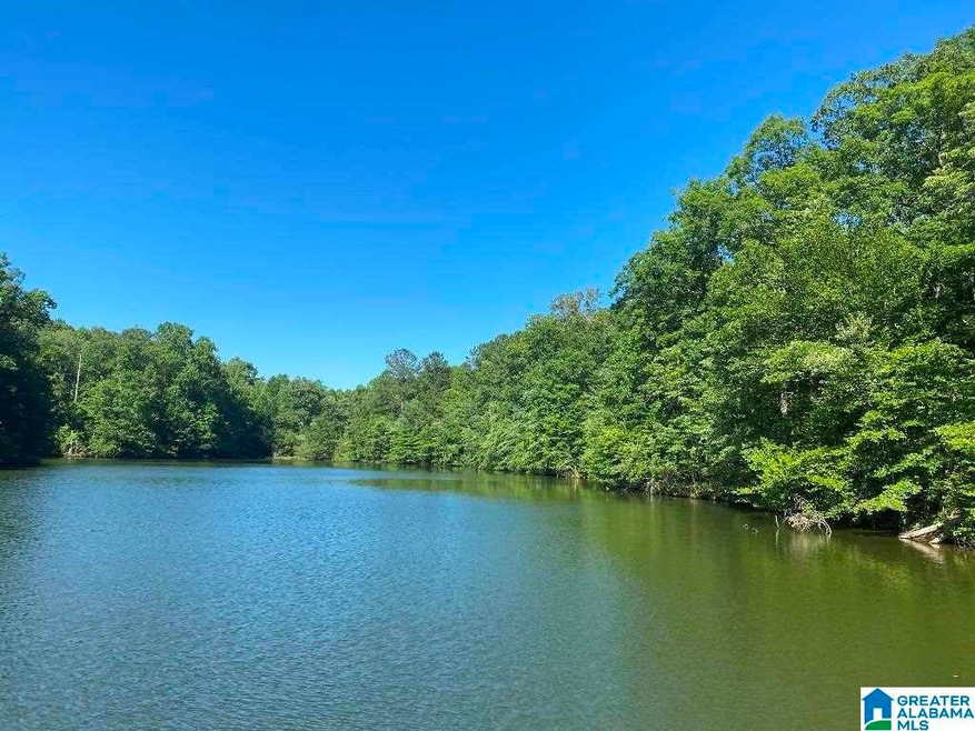 0 County Road 99 unit 39 Acres 1293078, Wedowee, AL 36278 - photo 1