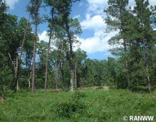 Lot 2 Rainbow Pond, Jackson, WI 54830 - photo 1