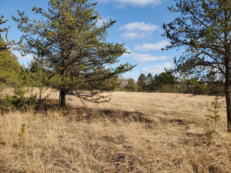 27548 S River Rd, Webb Lake, WI 54830 - photo 1