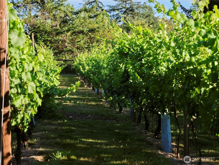 11700 NE 279th St, Battle Ground, WA 98604 - photo 1