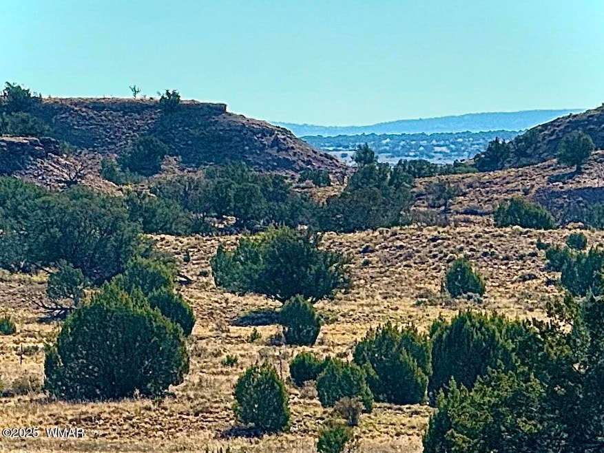 228, Concho, AZ 85924 - photo 1