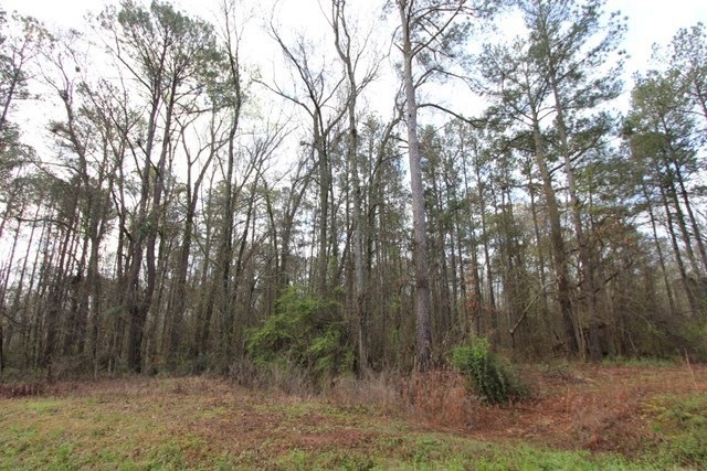 Lot 39B1 Country Creek Rd, Macon, GA 31220 - photo 1
