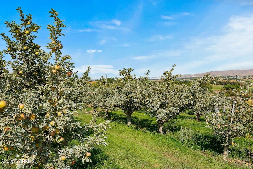 NKA Desmarais Rd, Moxee, WA 98936 - photo 1