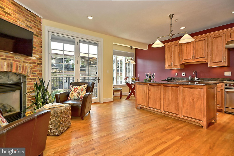 231 Locust St SE unit 2, Vienna, VA 22180 - photo 1