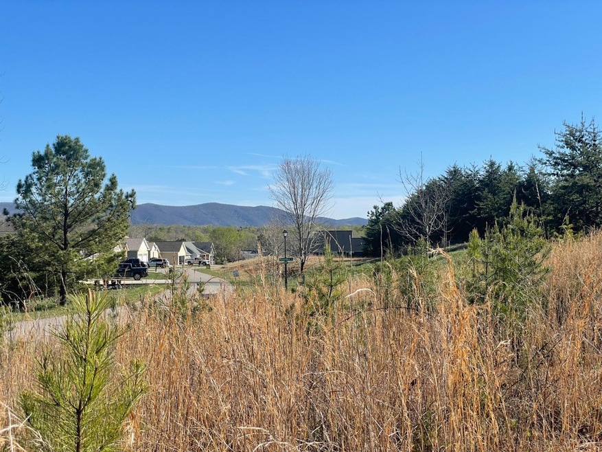 69 Barrows Hill Dr, Huddleston, VA 24104 - photo 1