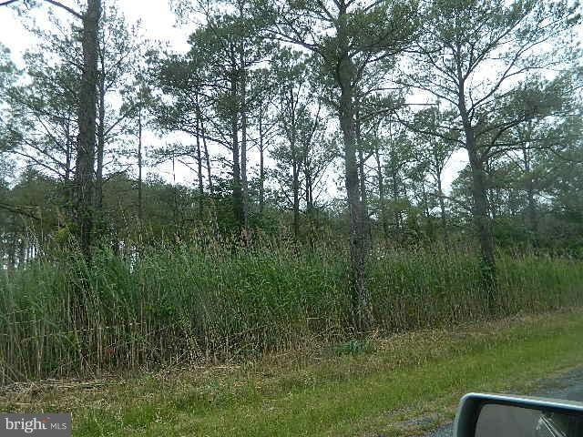 0 Toddville Rd unit 1001675997, Toddville, MD 21672 - photo 1