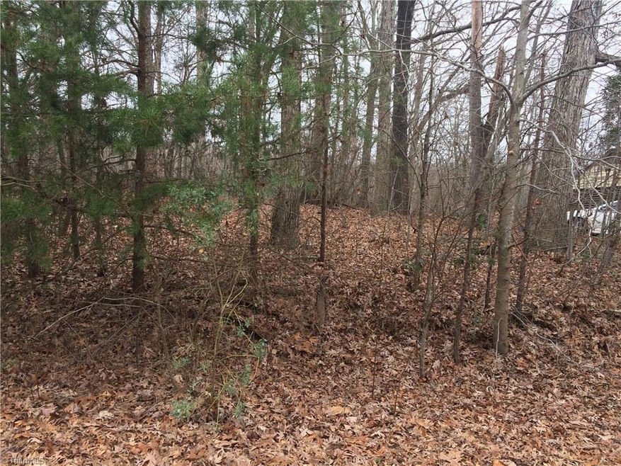 0 Rosemont Rd unit 961174, Asheboro, NC 27203 - photo 1