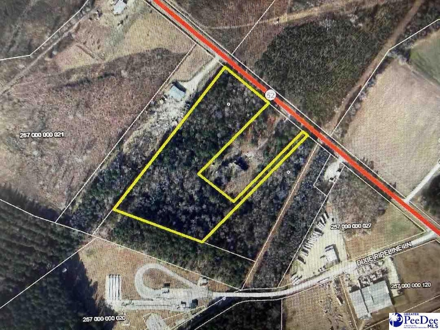 7.84 +/- Tract N Hwy 52, Cheraw, SC 29520 - photo 1