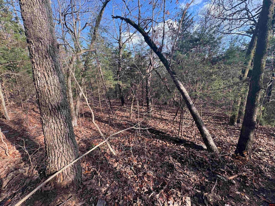 001-03671-002 Arkansas 101, Gamaliel, AR 72537 - photo 1