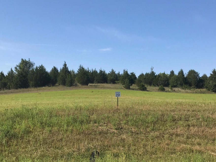 Lot 19
