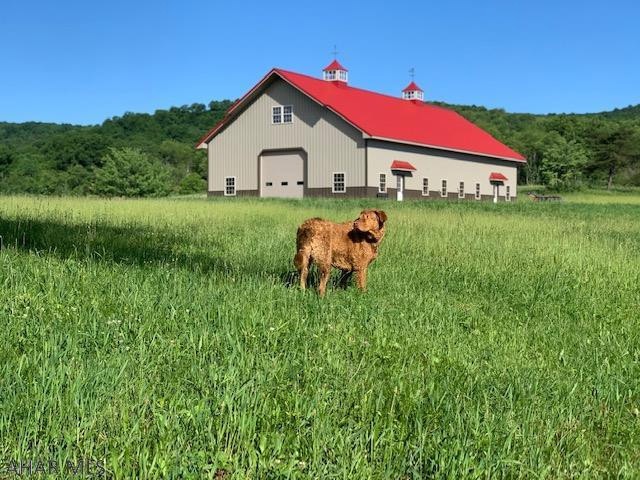 561 Pensyl Hollow Rd, Bedford, PA 15522 - photo 1