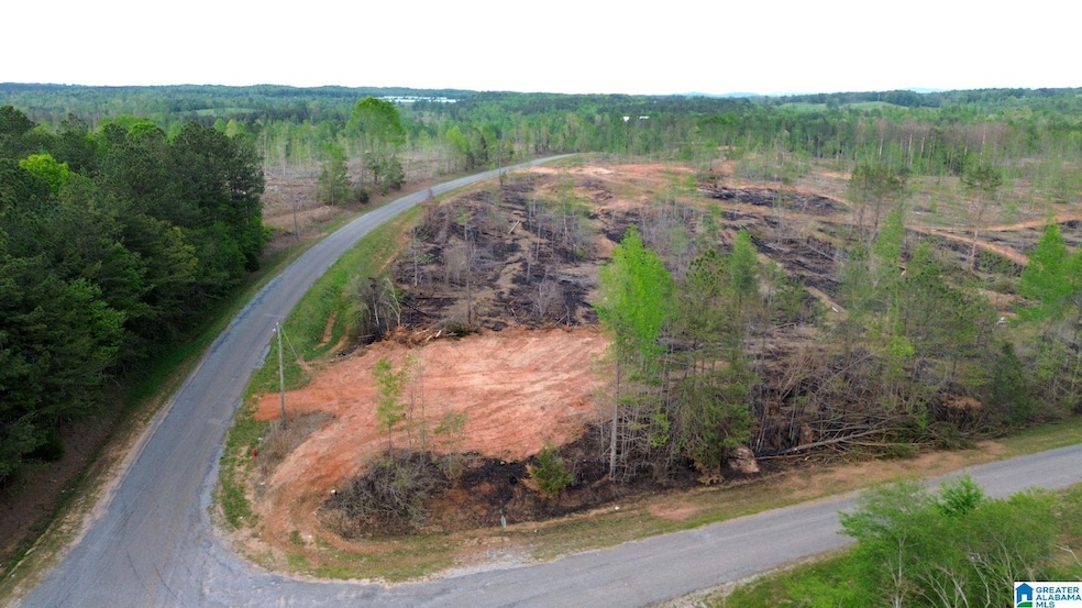 0 Center Hill Rd unit 5.79 acres, Delta, AL 36258 - photo 1