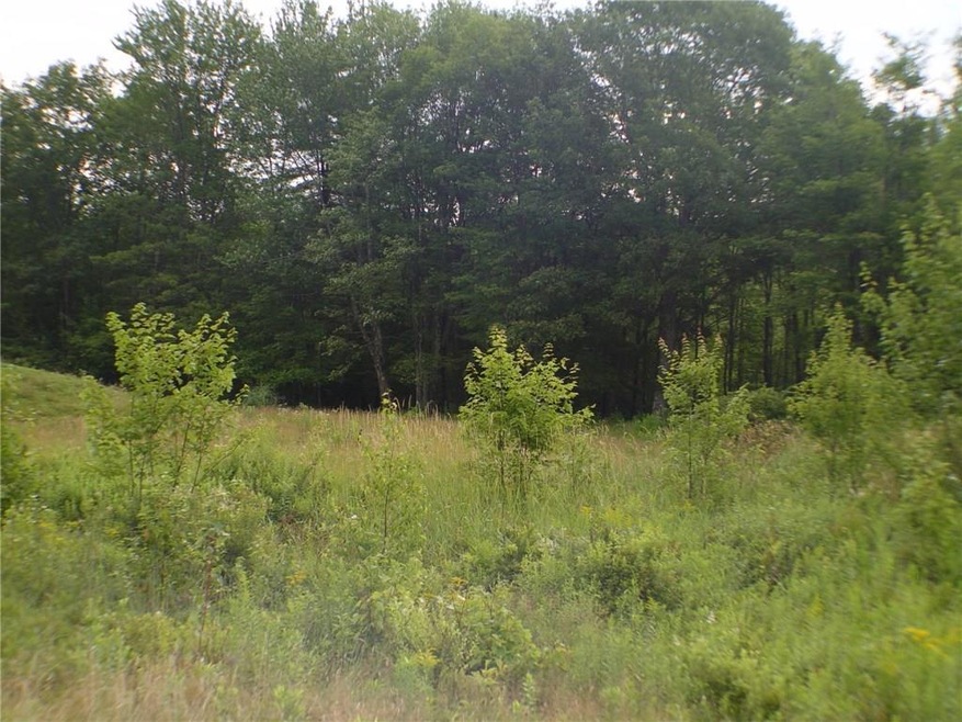 Bordered By Stone Walls And Mature Trees