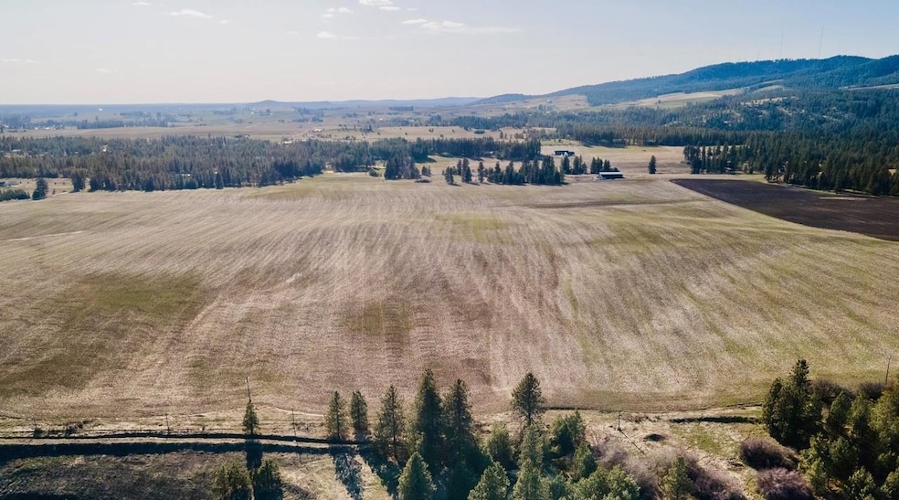 13507 E Gibbs Rd, Valleyford, WA 99023 - photo 1