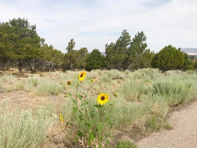 474 S Valley Heights Cir, Parowan, UT 84761 - photo 1