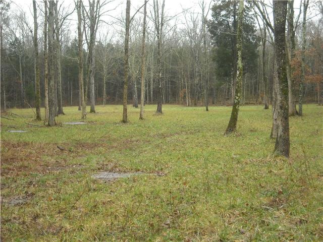 1063 John Lunn Rd, Lewisburg, TN 37091 - photo 1