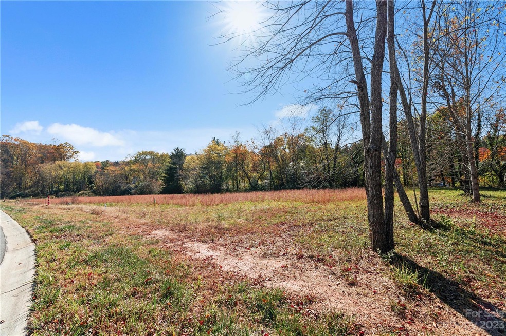 5 Scott Meadows Dr, Asheville, NC 28806 - photo 1