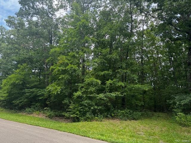 14 Buzzard Rock Rd, Pendleton Township, MO 63640 - photo 1