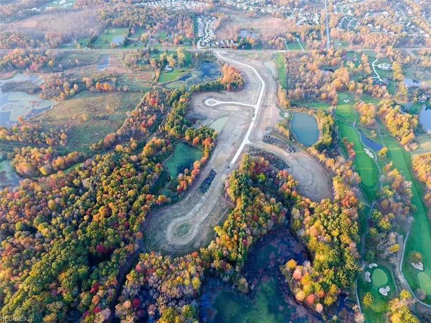 965 Warbler Way, Aurora, OH 44202 - photo 1