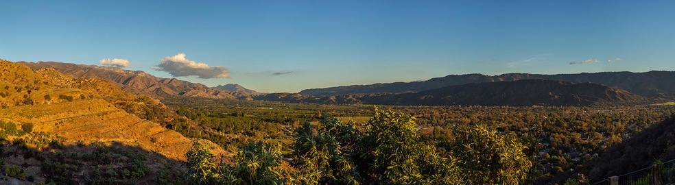 S8C_1605 Daly_02