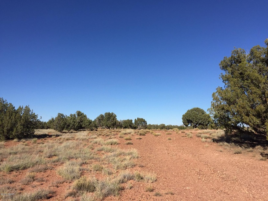 Ranch of the White Mountains Lot 43