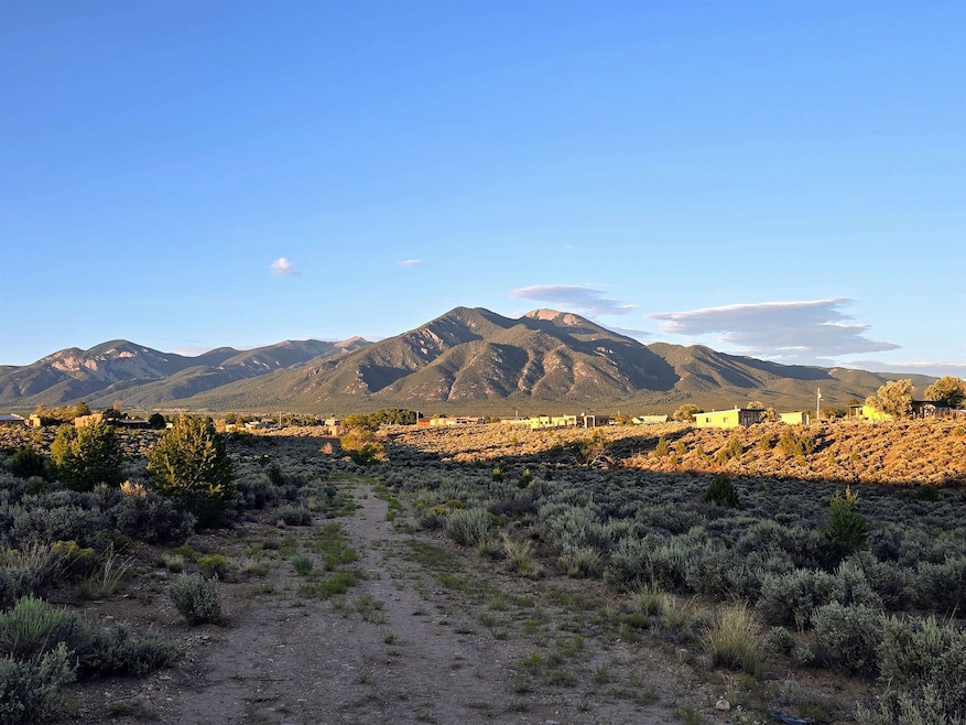 TBD Mesa Vista Rd, El Prado, NM 87529 - photo 1
