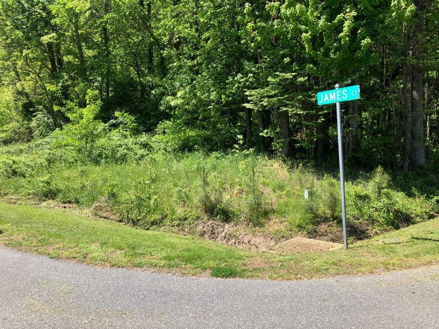 000 James Ct, Montross, VA 22520 - photo 1