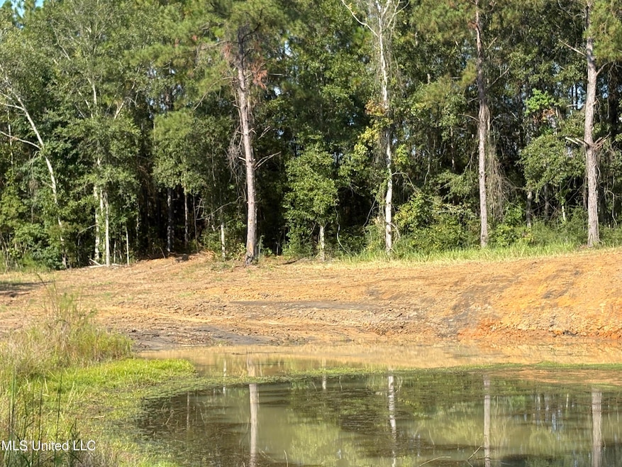 0 Sunfish Ln unit 4124797, Lucedale, MS 39452 - photo 1